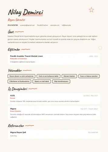  cv indir